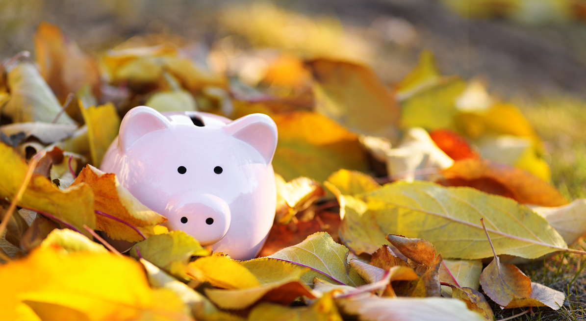 Fall CD Specials at Frist State Bank